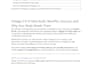 write seofriendly articles, blogs and website content